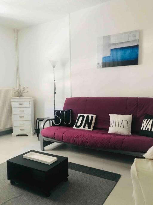 - Duplex Au Coeur Du Quartier Saint-remi Appartement Reims