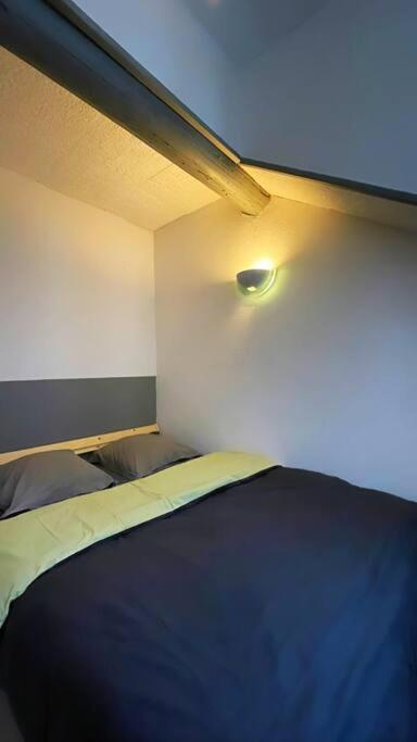 - Duplex Au Coeur Du Quartier Saint-remi Appartement